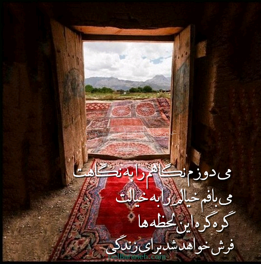 علیرضا خادمی (شب نشین)